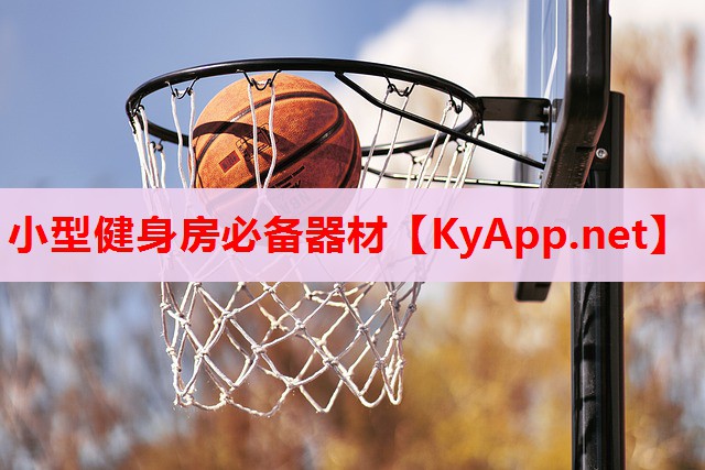 小型健身房必备器材 小型健身房必备器材