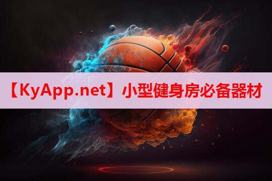 小型健身房必备器材 小型健身房必备器材