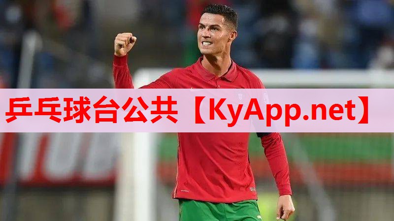 乒乓球台公共 乒乓球台公共