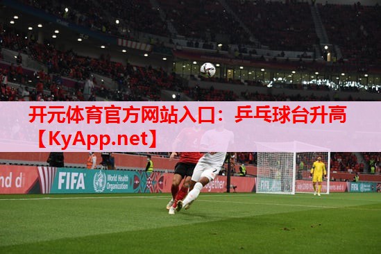 乒乓球台升高 乒乓球台升高