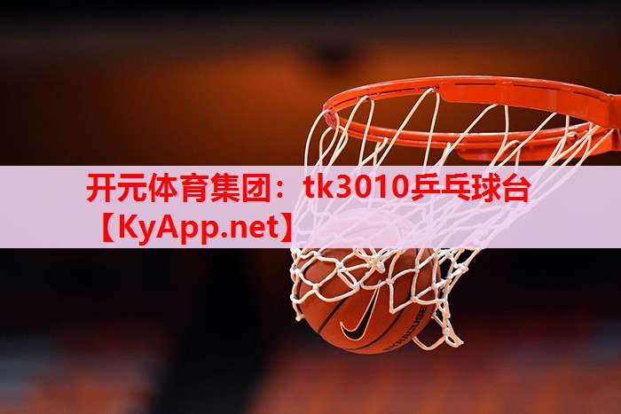 tk3010乒乓球台