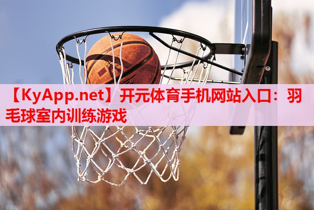 羽毛球室内训练游戏