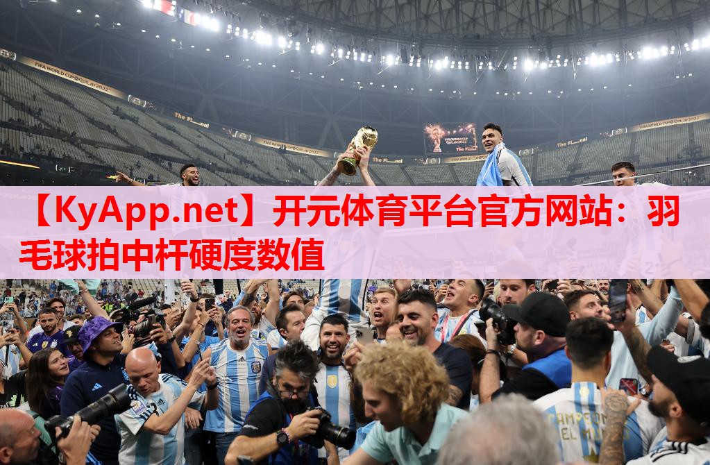 羽毛球拍中杆硬度数值
