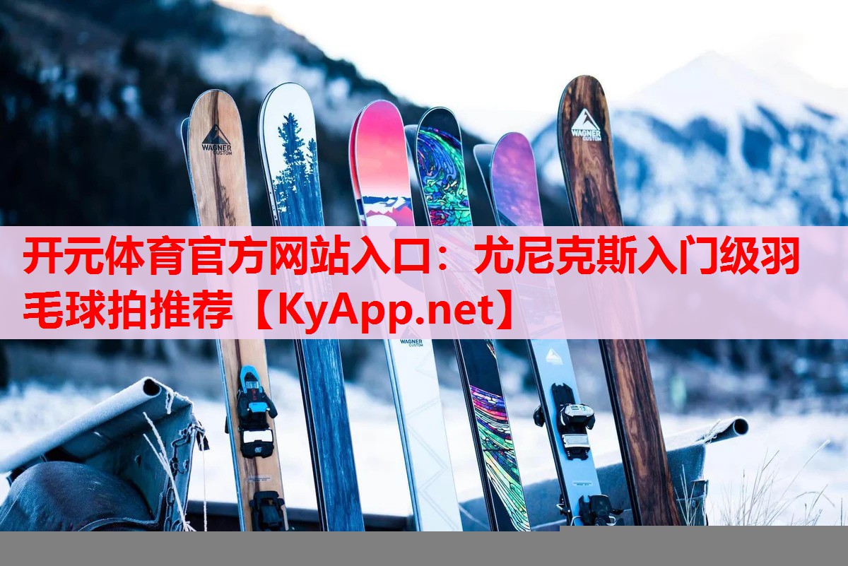 尤尼克斯入门级羽毛球拍推荐