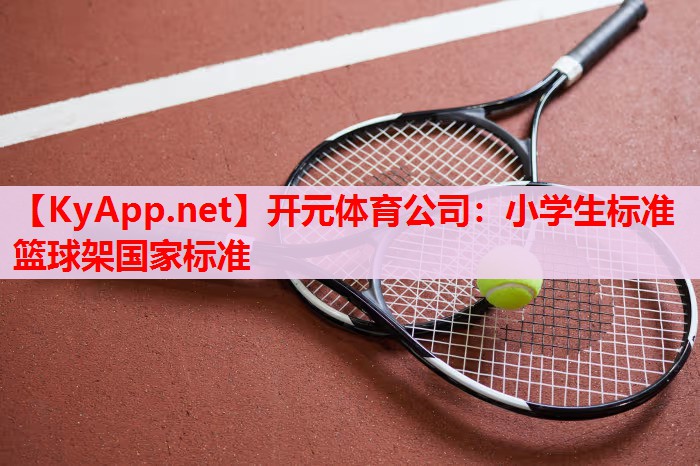 小学生标准篮球架国家标准