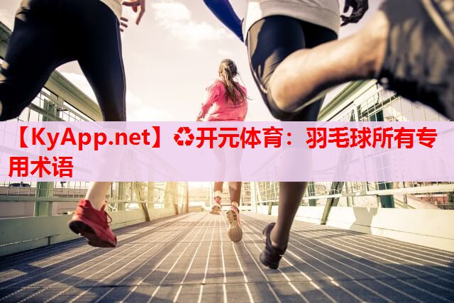 羽毛球所有专用术语