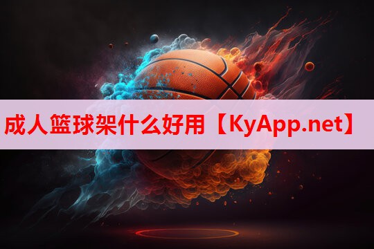 成人篮球架什么好用