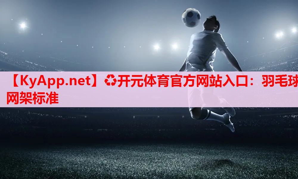 羽毛球网架标准